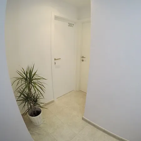 招待所 Del Mar 3*